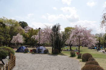 上尾丸山公園.JPG