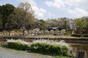 上尾丸山公園２.JPG
