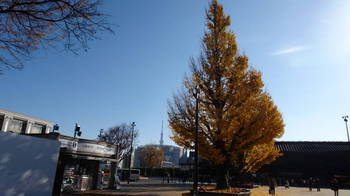 上野公園出口スカイツリー.JPG